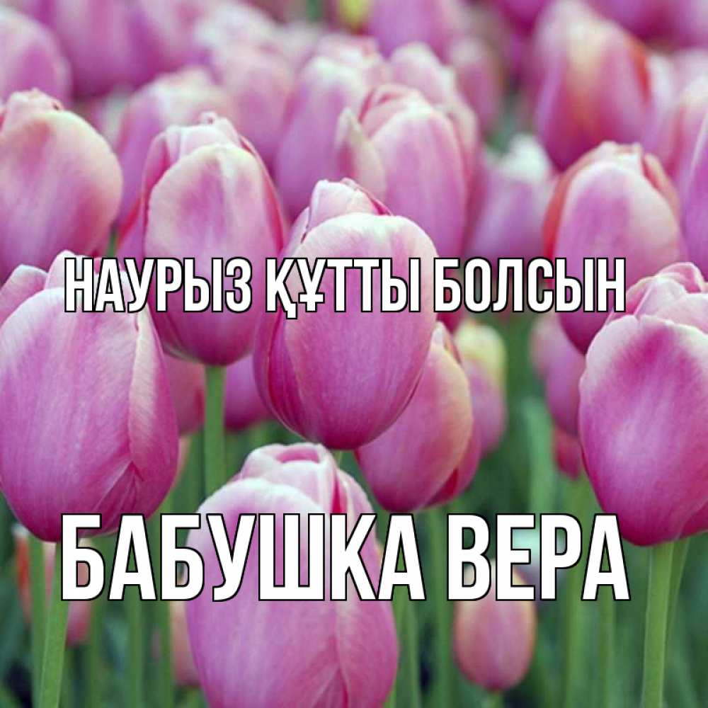 Открытка на каждый день с именем, Бабушка-Вера Наурыз құтты болсын на наурыз  день 3 Прикольная открытка с пожеланием онлайн скачать бесплатно 
