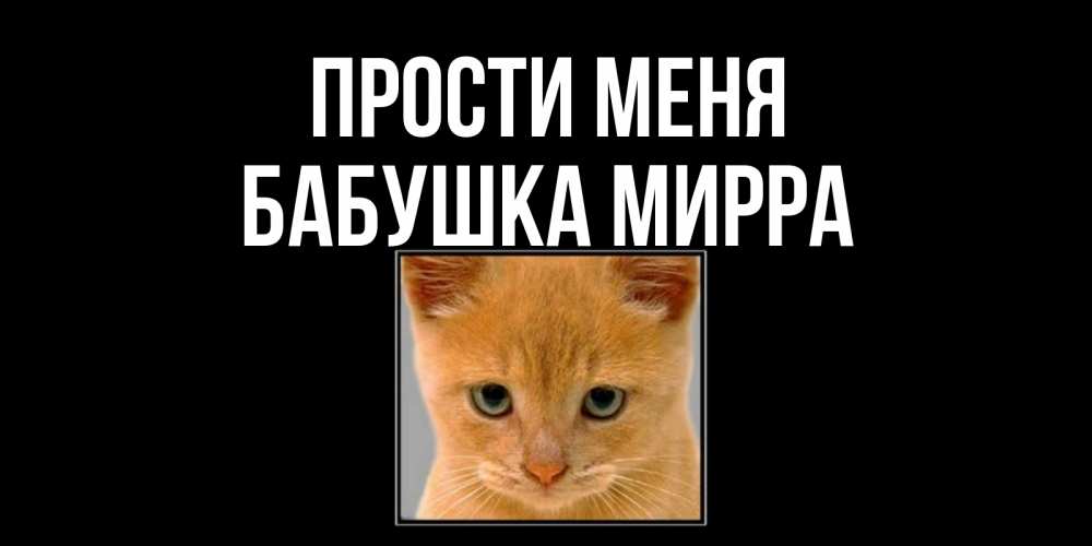 Открытка на каждый день с именем, Бабушка-Мирра Прости меня рыжий грустный кот просит прощения Прикольная открытка с пожеланием онлайн скачать бесплатно 
