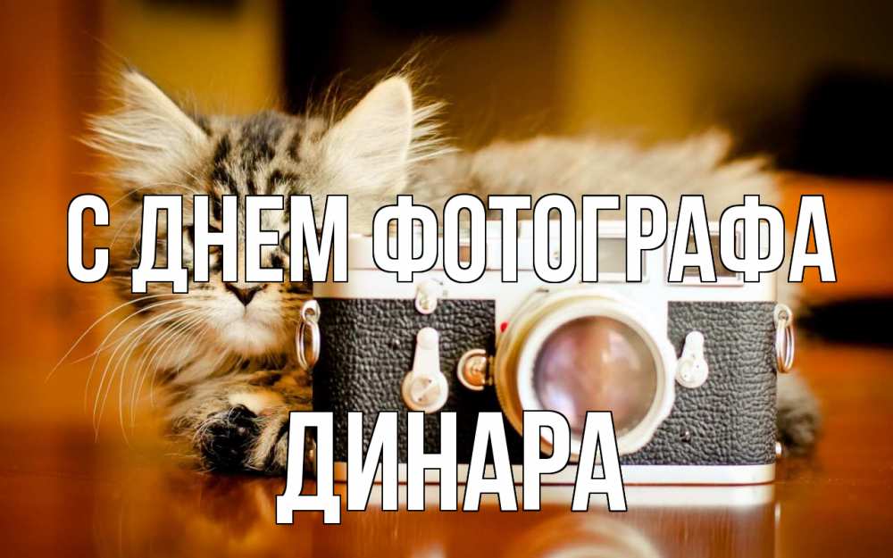 Открытка на каждый день с именем, Динара С днем фотографа с днем фотографа Прикольная открытка с пожеланием онлайн скачать бесплатно 