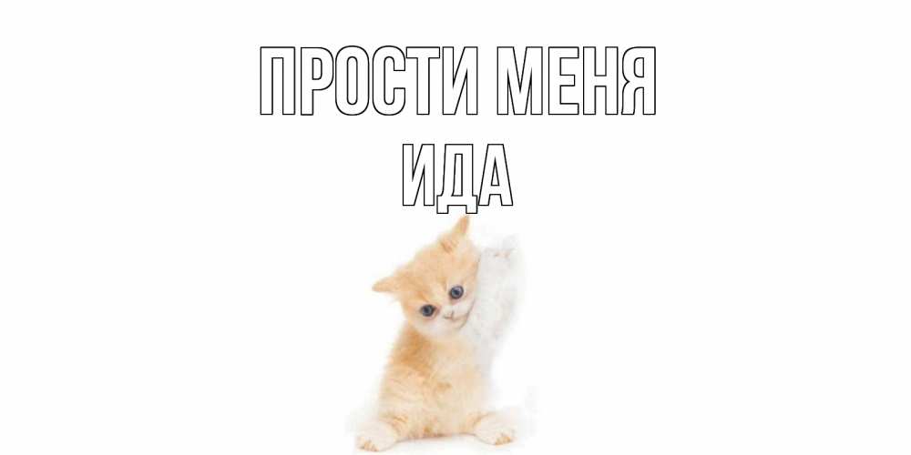Открытка на каждый день с именем, Ида Прости меня кот Прикольная открытка с пожеланием онлайн скачать бесплатно 