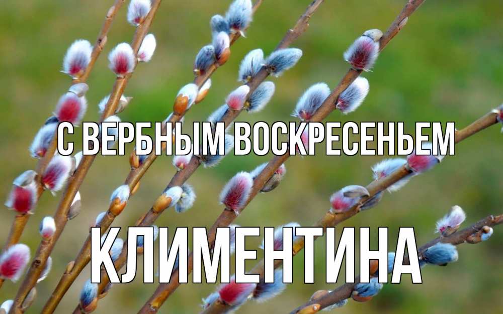 Открытка на каждый день с именем, Климентина С вербным воскресеньем верба Прикольная открытка с пожеланием онлайн скачать бесплатно 