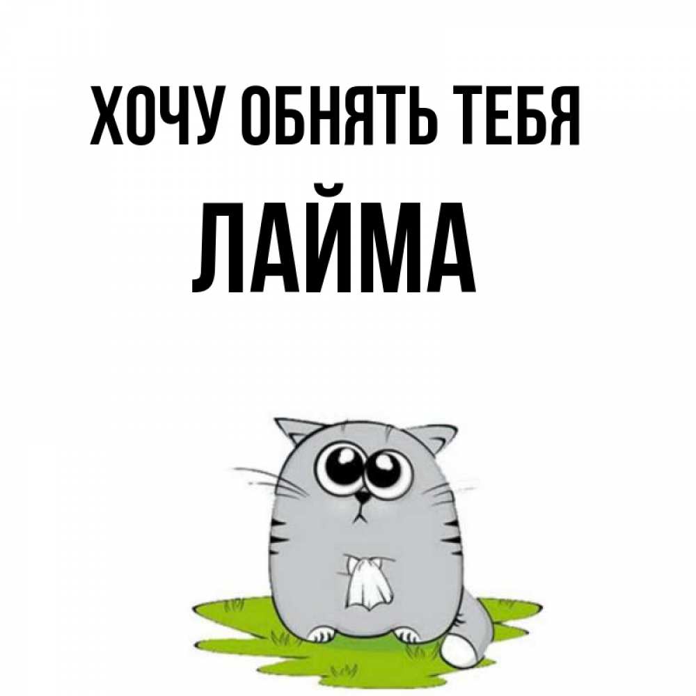 Открытка на каждый день с именем, Лайма Хочу обнять тебя котик теребит платочек сидя на травке Прикольная открытка с пожеланием онлайн скачать бесплатно 