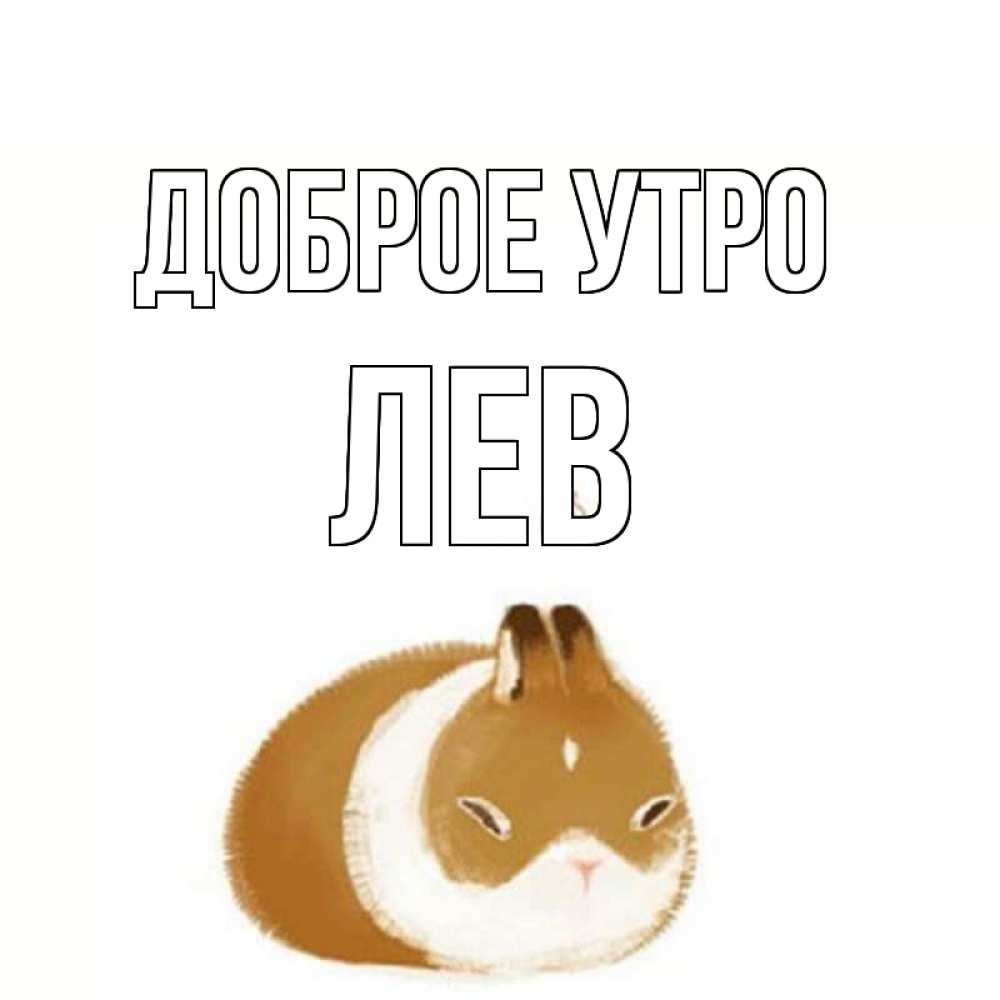 Открытка на каждый день с именем, Лев Доброе утро хорошего утречка Прикольная открытка с пожеланием онлайн скачать бесплатно 