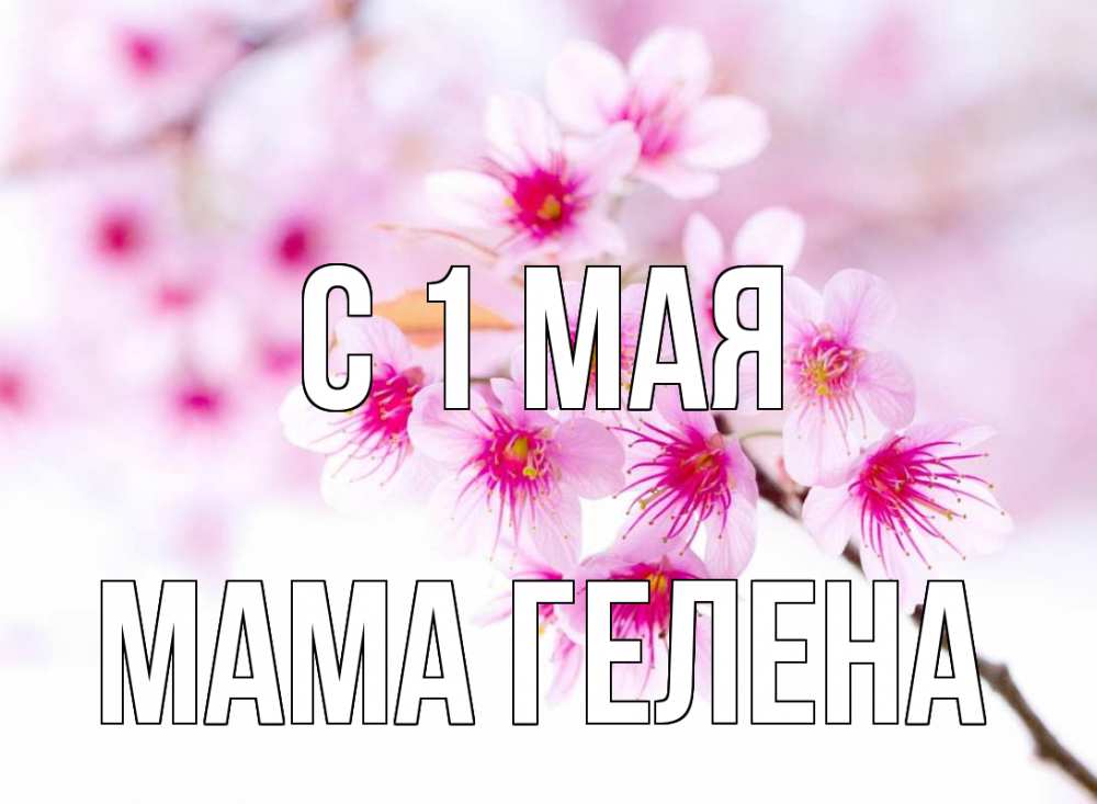 Открытка на каждый день с именем, Мама-Гелена С 1 мая С 1 мая 2 Прикольная открытка с пожеланием онлайн скачать бесплатно 