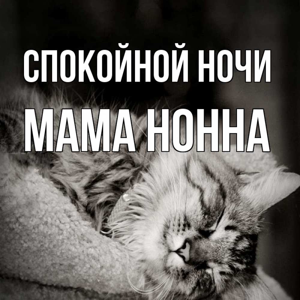 Открытка на каждый день с именем, Мама-Нонна Спокойной ночи котярик пушистый Прикольная открытка с пожеланием онлайн скачать бесплатно 