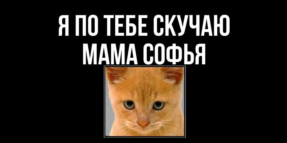 Открытка на каждый день с именем, Мама-Софья Я по тебе скучаю открытки рыжий котенок скучает по тебе Прикольная открытка с пожеланием онлайн скачать бесплатно 