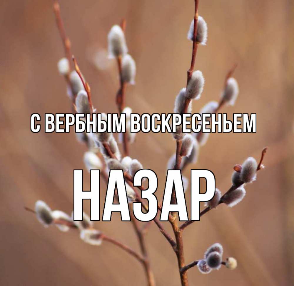 Открытка на каждый день с именем, Назар С вербным воскресеньем верба Прикольная открытка с пожеланием онлайн скачать бесплатно 