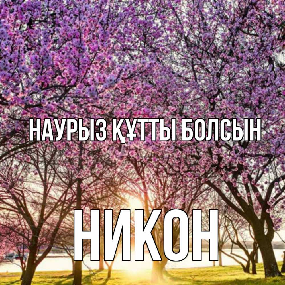 Открытка на каждый день с именем, Никон Наурыз құтты болсын наурыз Прикольная открытка с пожеланием онлайн скачать бесплатно 