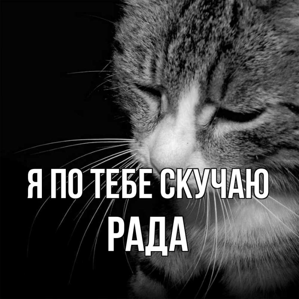 Открытка на каждый день с именем, Рада Я по тебе скучаю мне скучно Прикольная открытка с пожеланием онлайн скачать бесплатно 