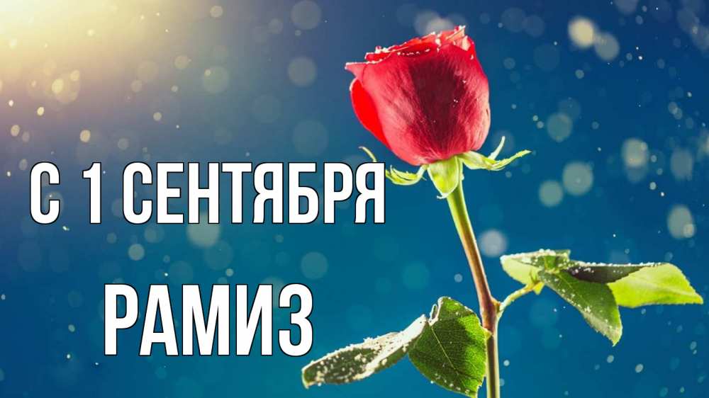 Открытка на каждый день с именем, Рамиз С 1 сентября с днем знаний Прикольная открытка с пожеланием онлайн скачать бесплатно 