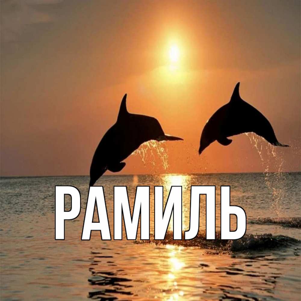 Открытка на каждый день с именем, Рамиль Главная рыбы на закате Прикольная открытка с пожеланием онлайн скачать бесплатно 