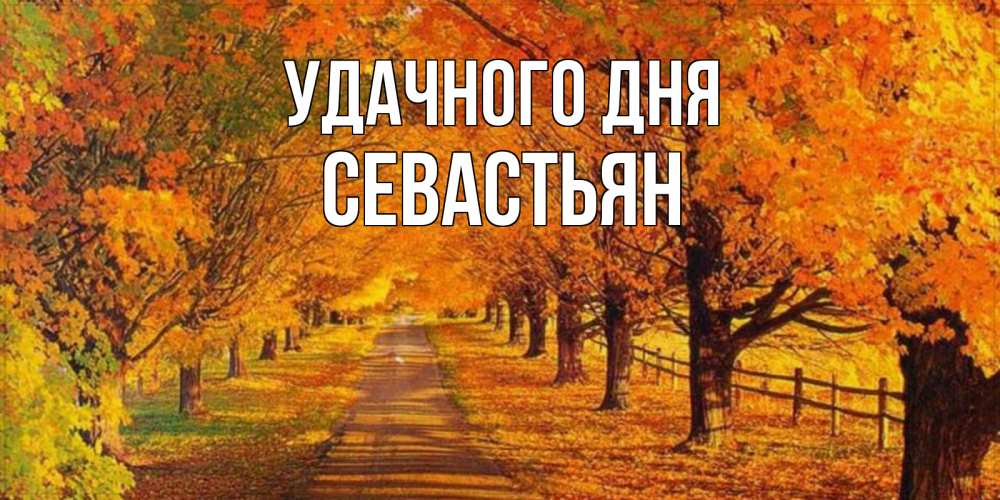 Открытка на каждый день с именем, Севастьян Удачного дня деревья с осенними листьями Прикольная открытка с пожеланием онлайн скачать бесплатно 