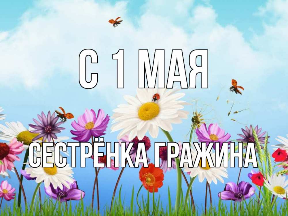 Открытка на каждый день с именем, Сестрёнка-Гражина С 1 мая С 1 мая Прикольная открытка с пожеланием онлайн скачать бесплатно 