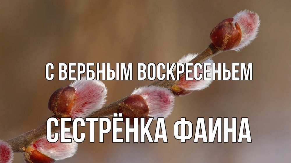 Открытка на каждый день с именем, Сестрёнка-Фаина С вербным воскресеньем верба Прикольная открытка с пожеланием онлайн скачать бесплатно 