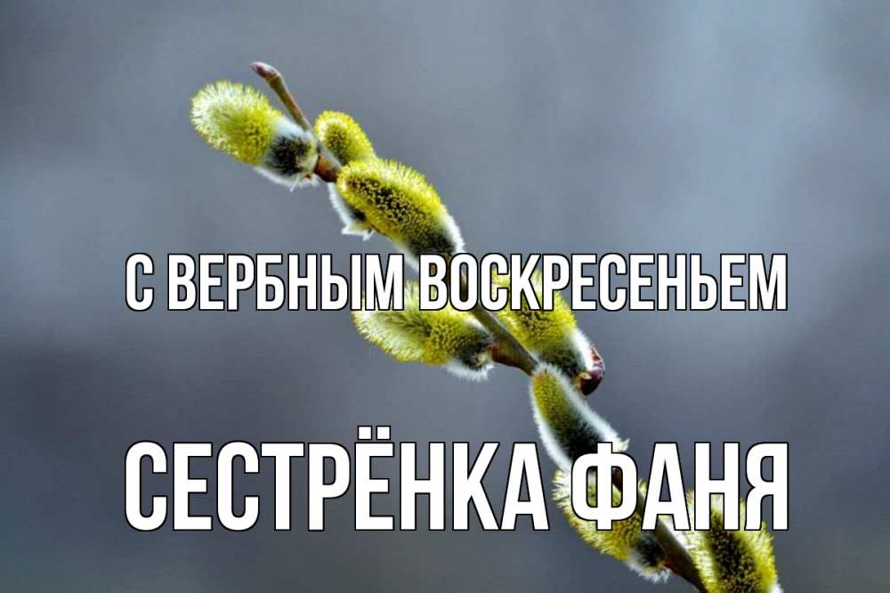 Открытка на каждый день с именем, Сестрёнка-Фаня С вербным воскресеньем верба Прикольная открытка с пожеланием онлайн скачать бесплатно 