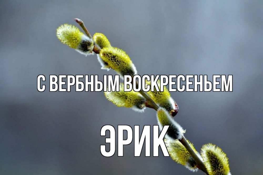 Открытка на каждый день с именем, Эрик С вербным воскресеньем верба Прикольная открытка с пожеланием онлайн скачать бесплатно 