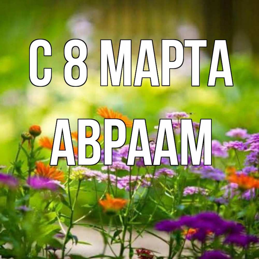Открытка на каждый день с именем, Авраам С 8 МАРТА цветы Прикольная открытка с пожеланием онлайн скачать бесплатно 