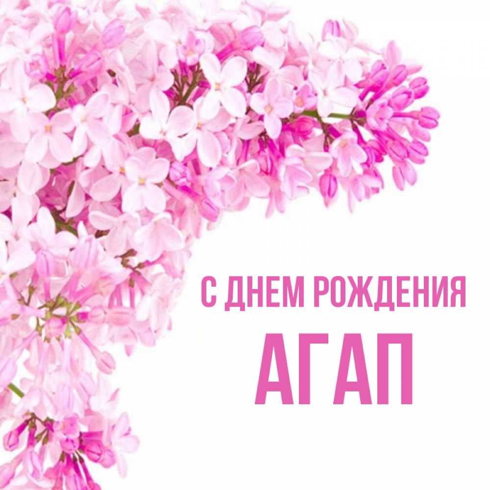 Открытка на каждый день с именем, Агап С днем рождения Сирень на белом фоне Прикольная открытка с пожеланием онлайн скачать бесплатно 