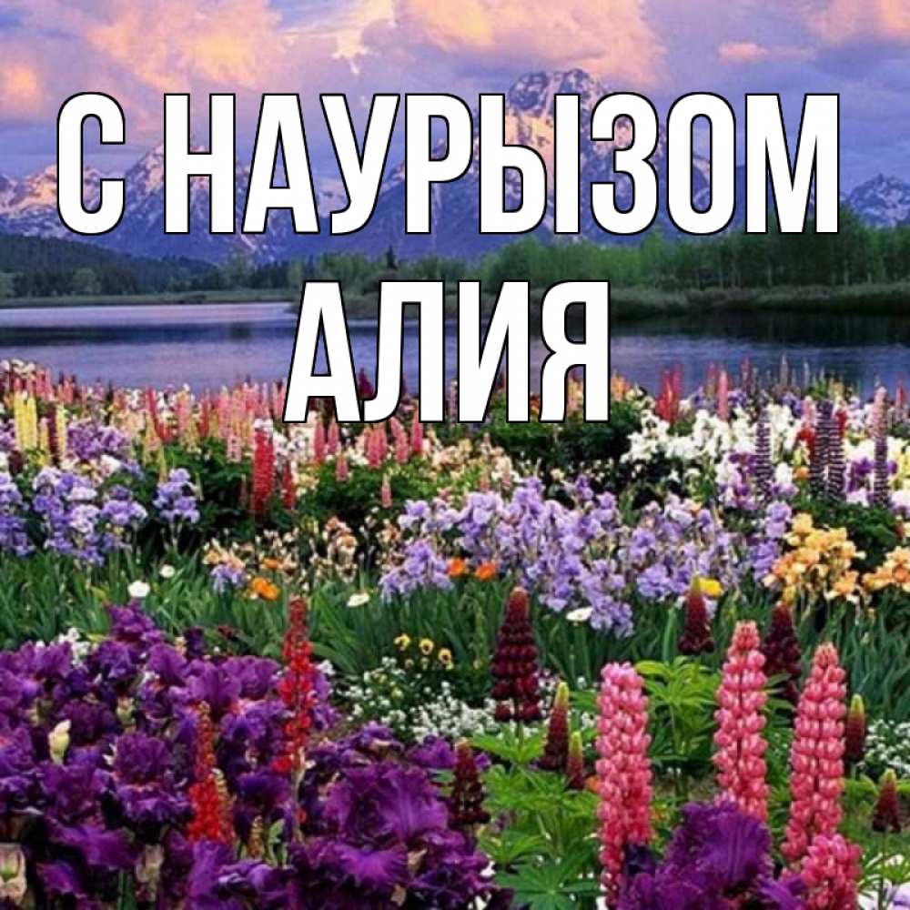 Открытка на каждый день с именем, Алия С наурызом праздник весны наурыз Прикольная открытка с пожеланием онлайн скачать бесплатно 