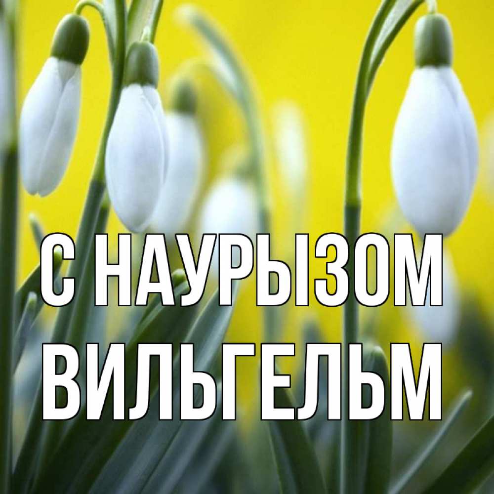 Открытка на каждый день с именем, Вильгельм С наурызом весенние цветы Прикольная открытка с пожеланием онлайн скачать бесплатно 