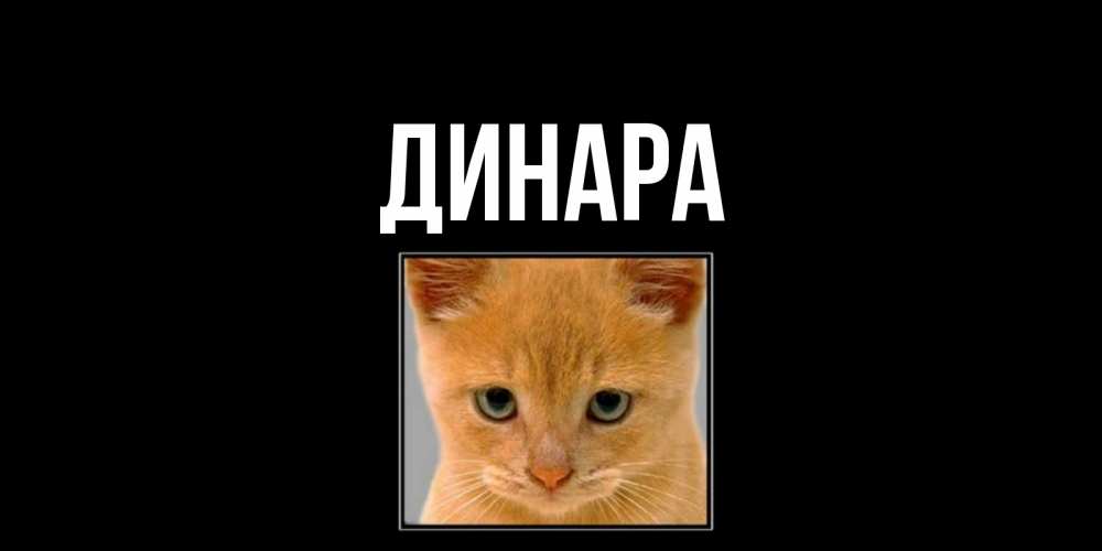 Открытка на каждый день с именем, Динара Главная открытки рыжий котенок скучает по тебе Прикольная открытка с пожеланием онлайн скачать бесплатно 