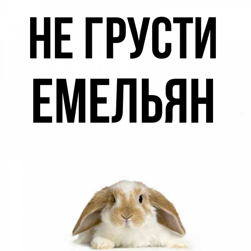Открытка на каждый день с именем, Емельян Не грусти коричнево белый заяц с большими ушками Прикольная открытка с пожеланием онлайн скачать бесплатно 