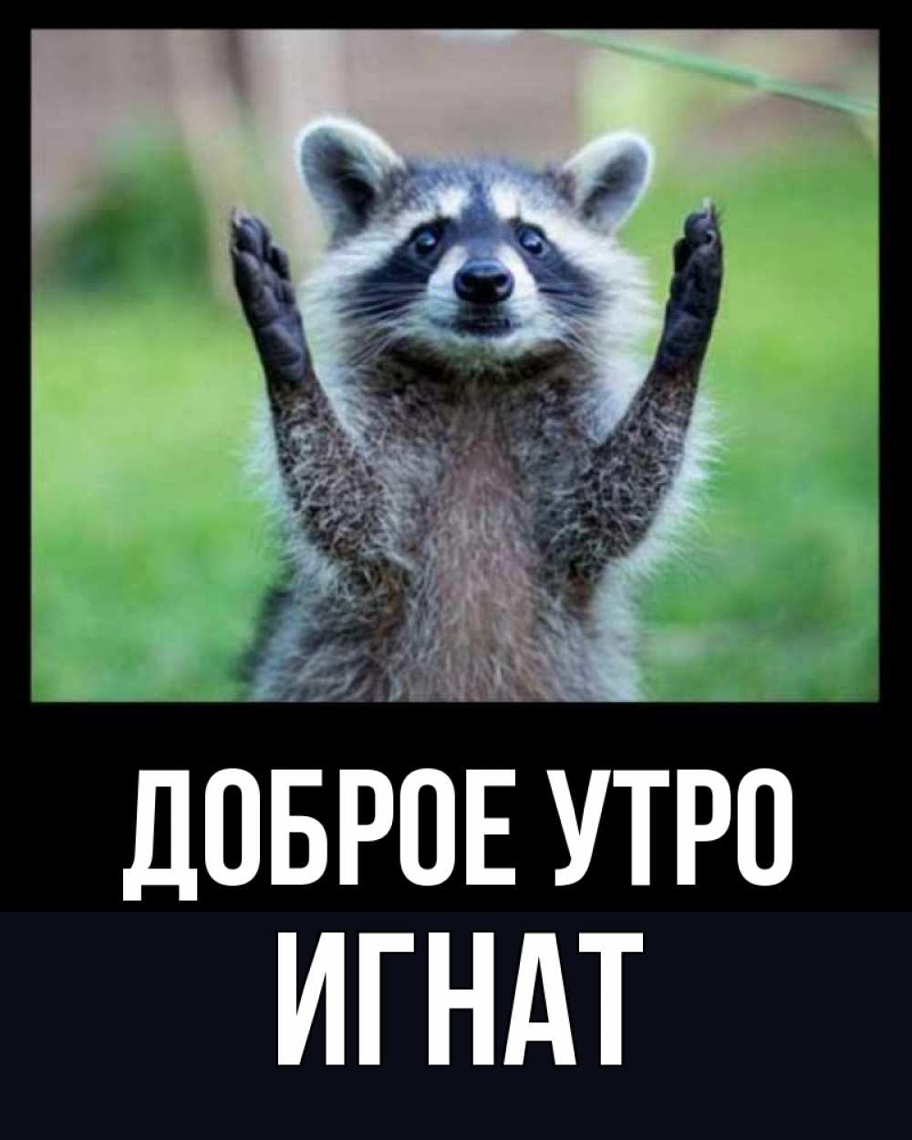 Открытка на каждый день с именем, Игнат Доброе утро хорошее настроение утречком Прикольная открытка с пожеланием онлайн скачать бесплатно 