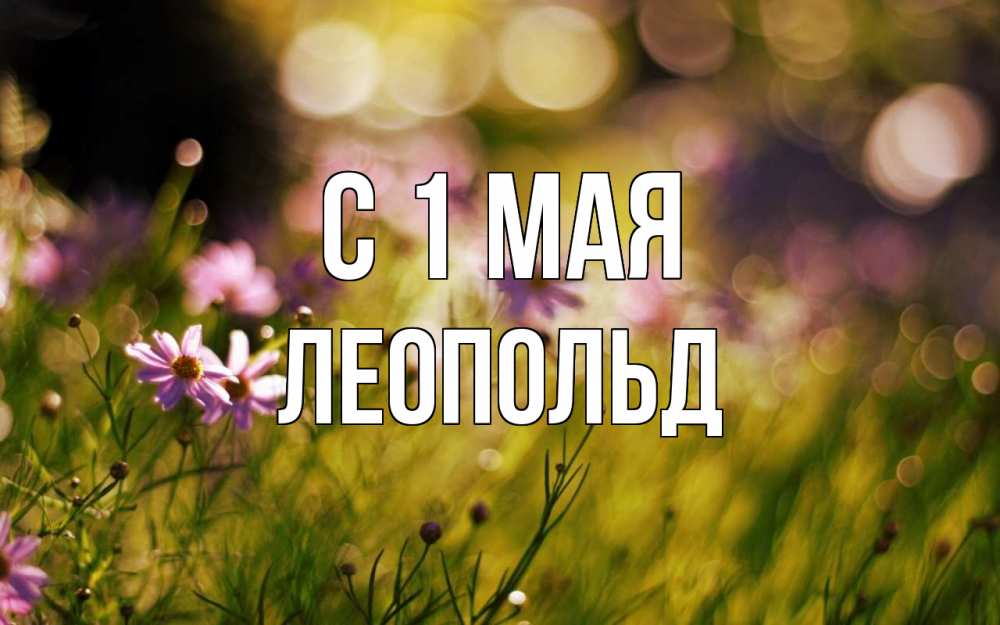 Открытка на каждый день с именем, Леопольд С 1 мая С 1 мая Прикольная открытка с пожеланием онлайн скачать бесплатно 