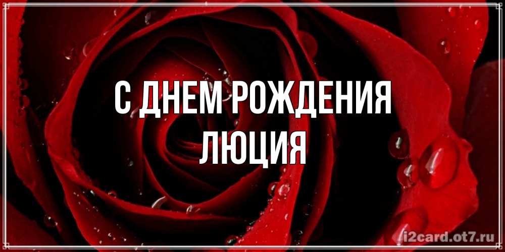 Открытка на каждый день с именем, Люция С днем рождения крупная бордовая роза Прикольная открытка с пожеланием онлайн скачать бесплатно 
