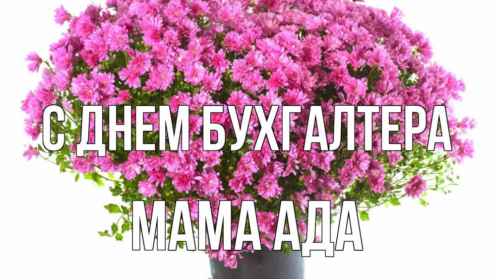 Открытка на каждый день с именем, Мама-Ада С днем бухгалтера с днем бухгалтера Прикольная открытка с пожеланием онлайн скачать бесплатно 