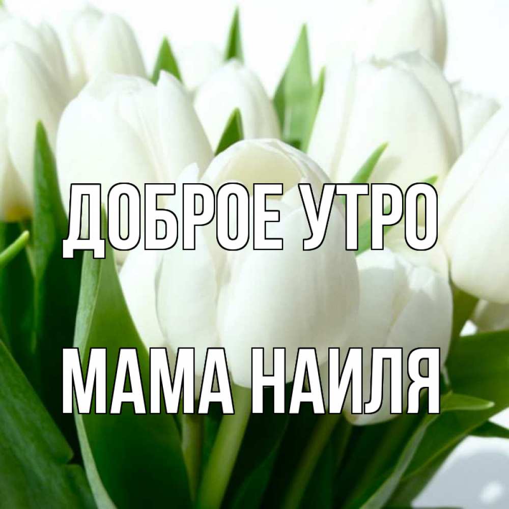 Открытка на каждый день с именем, Мама-Наиля Доброе утро открытки на каждый день по именам Прикольная открытка с пожеланием онлайн скачать бесплатно 
