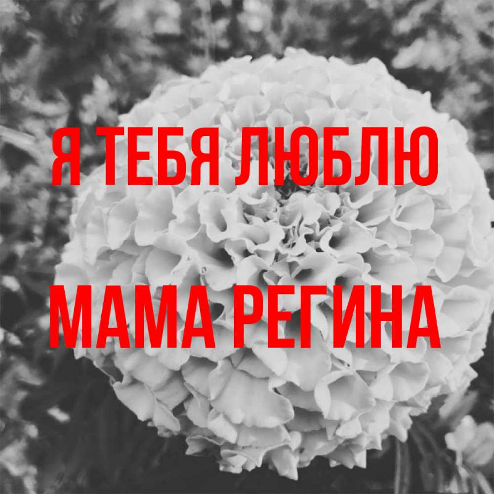 Открытка на каждый день с именем, Мама-Регина Я тебя люблю подпись Прикольная открытка с пожеланием онлайн скачать бесплатно 