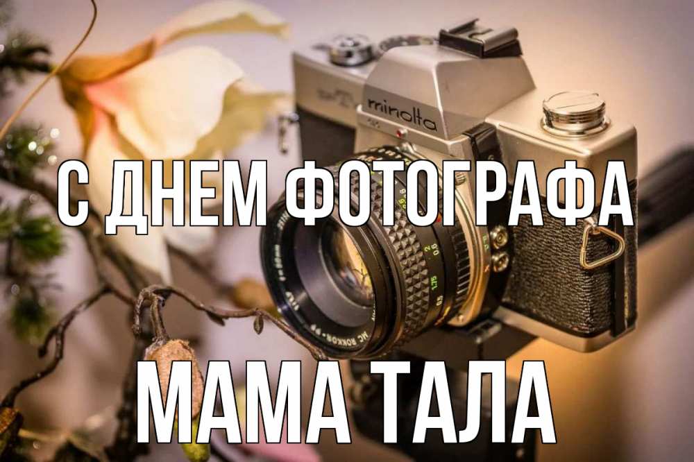 Открытка на каждый день с именем, Мама-Тала С днем фотографа с днем фотографа 1 Прикольная открытка с пожеланием онлайн скачать бесплатно 