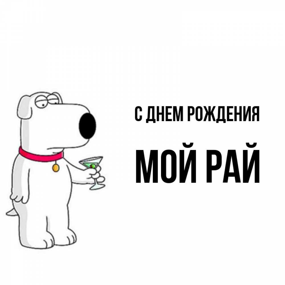 Открытка на каждый день с именем, Мой-рай С днем рождения песик с оливками Прикольная открытка с пожеланием онлайн скачать бесплатно 