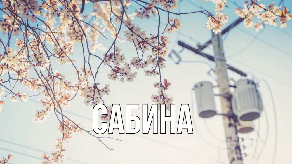 Открытка на каждый день с именем, Сабина Главная весна столб трансформатор Прикольная открытка с пожеланием онлайн скачать бесплатно 