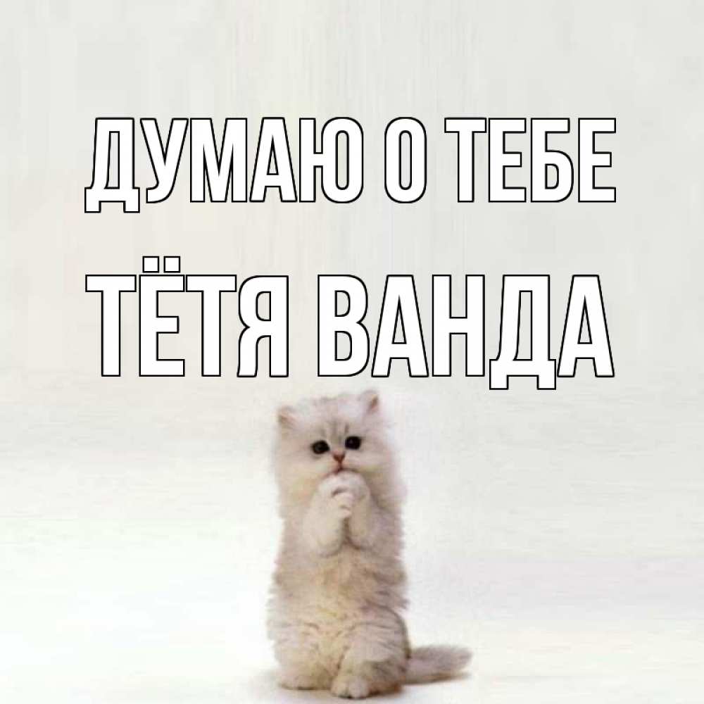 Открытка на каждый день с именем, Тётя-Ванда Думаю о тебе кот стоит на задних лапах Прикольная открытка с пожеланием онлайн скачать бесплатно 