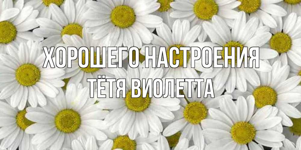 Открытка на каждый день с именем, Тётя-Виолетта Хорошего настроения поляна ромашек Прикольная открытка с пожеланием онлайн скачать бесплатно 