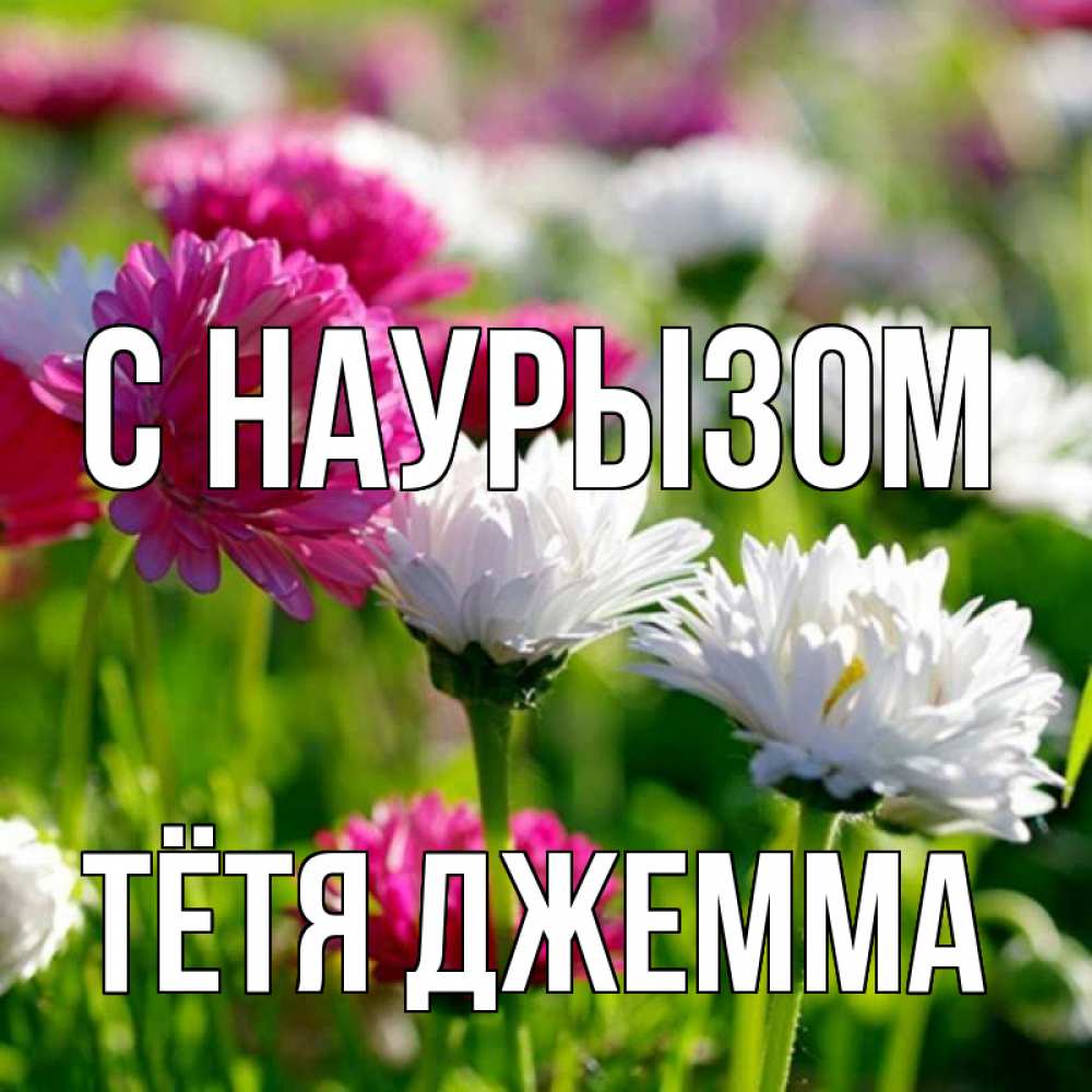 Открытка на каждый день с именем, Тётя-Джемма С наурызом праздник весны наурыз красота Прикольная открытка с пожеланием онлайн скачать бесплатно 