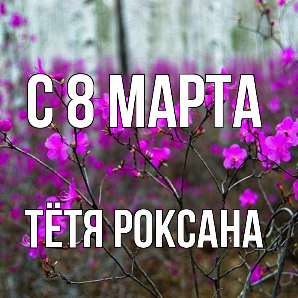 Открытка на каждый день с именем, Тётя-Роксана С 8 МАРТА дикие цветы Прикольная открытка с пожеланием онлайн скачать бесплатно 