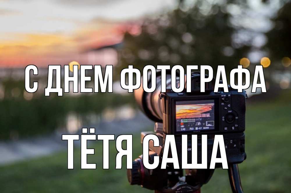 Открытка на каждый день с именем, Тётя-Саша С днем фотографа с днем фотографа Прикольная открытка с пожеланием онлайн скачать бесплатно 