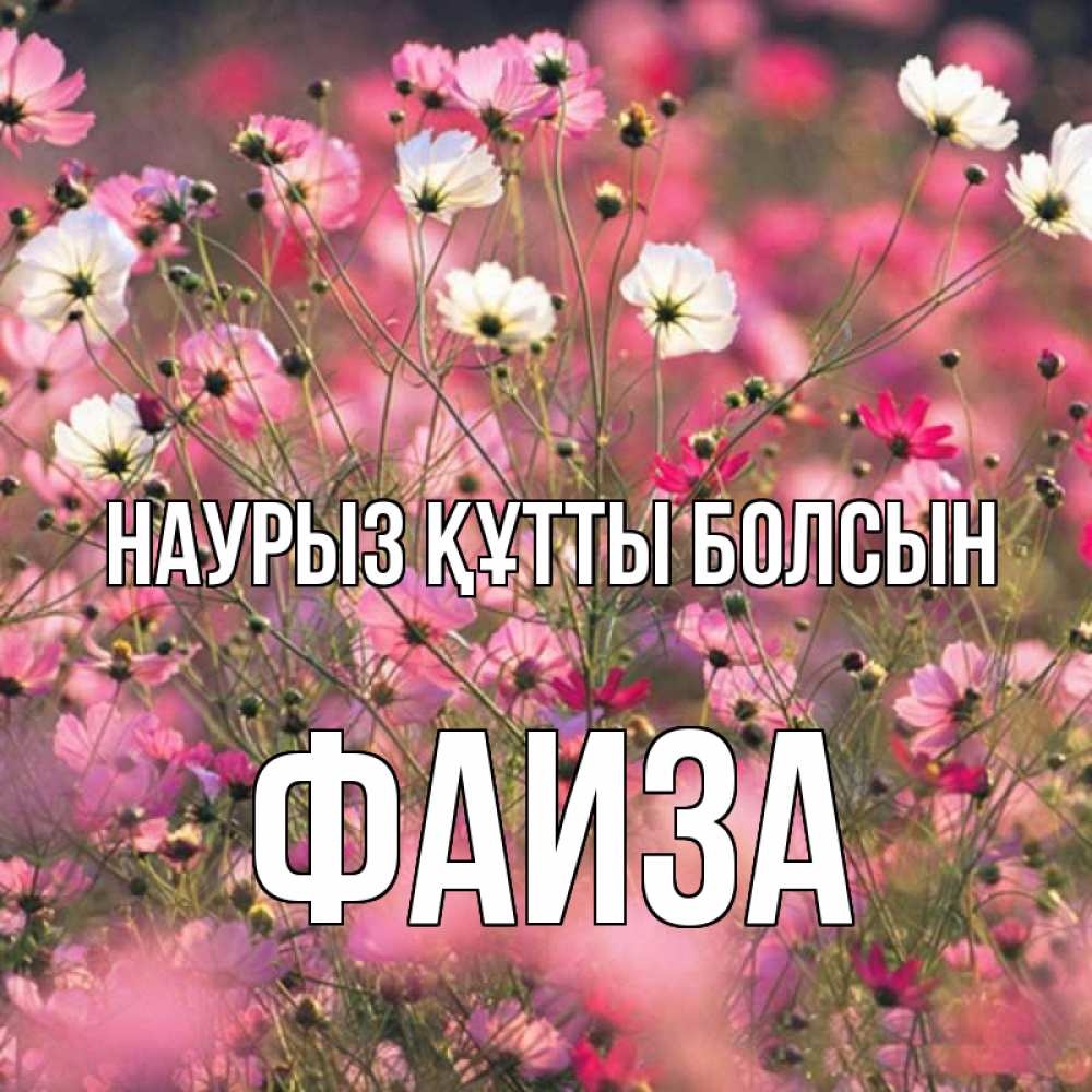 Открытка на каждый день с именем, Фаиза Наурыз құтты болсын красиво 1 Прикольная открытка с пожеланием онлайн скачать бесплатно 