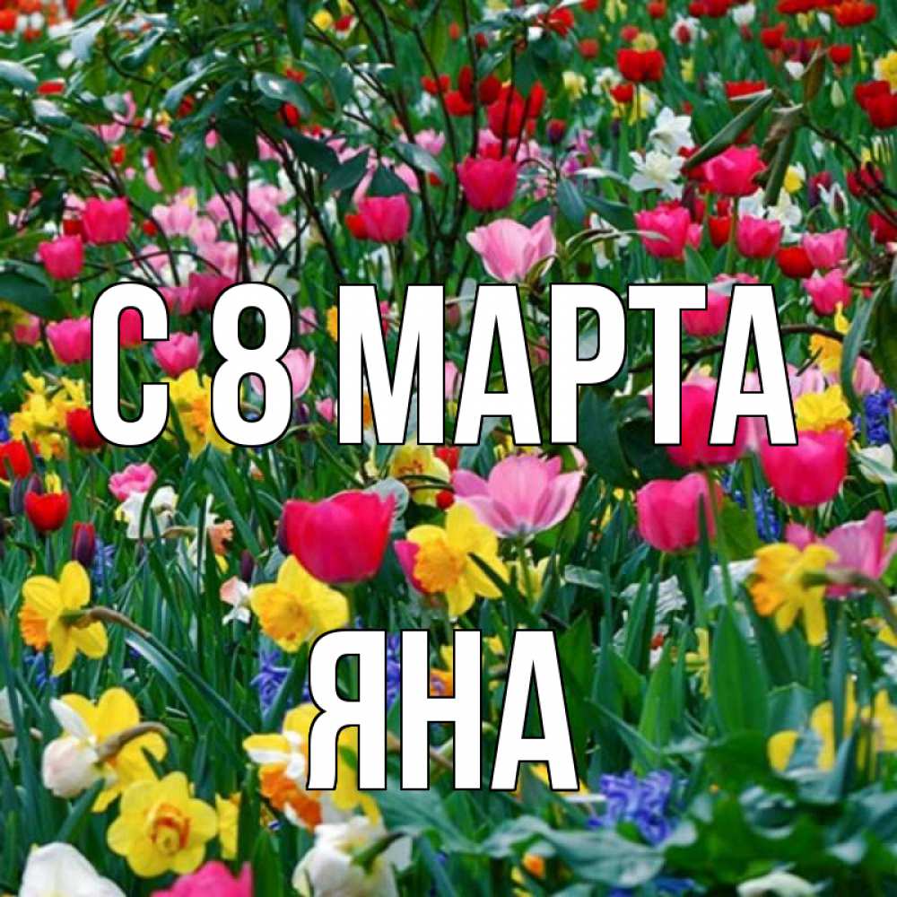 Открытка на каждый день с именем, Яна С 8 марта с международным женским днем поздравления для женщины Прикольная открытка с пожеланием онлайн скачать бесплатно 