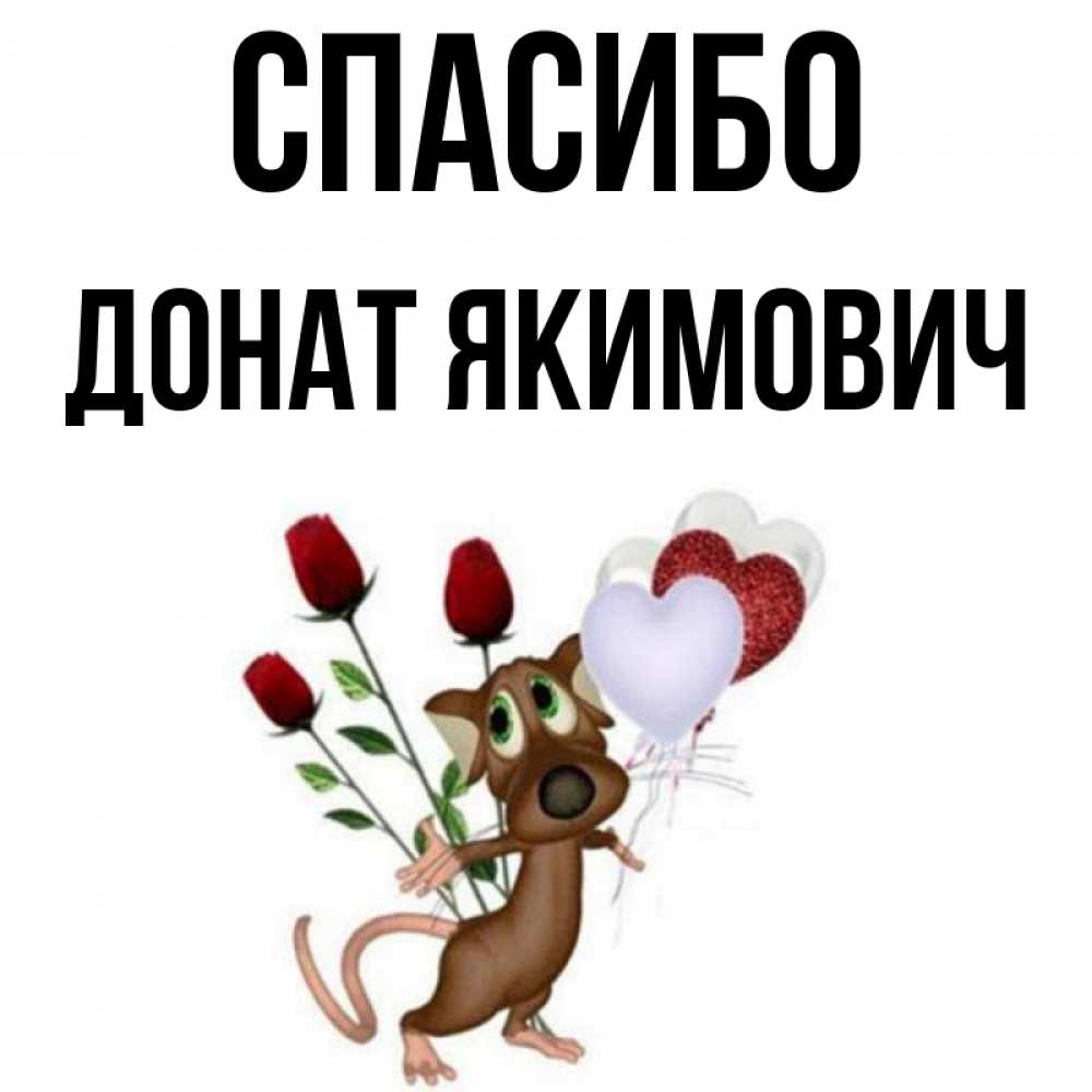 Спасибо за донат. Спасибо за донат