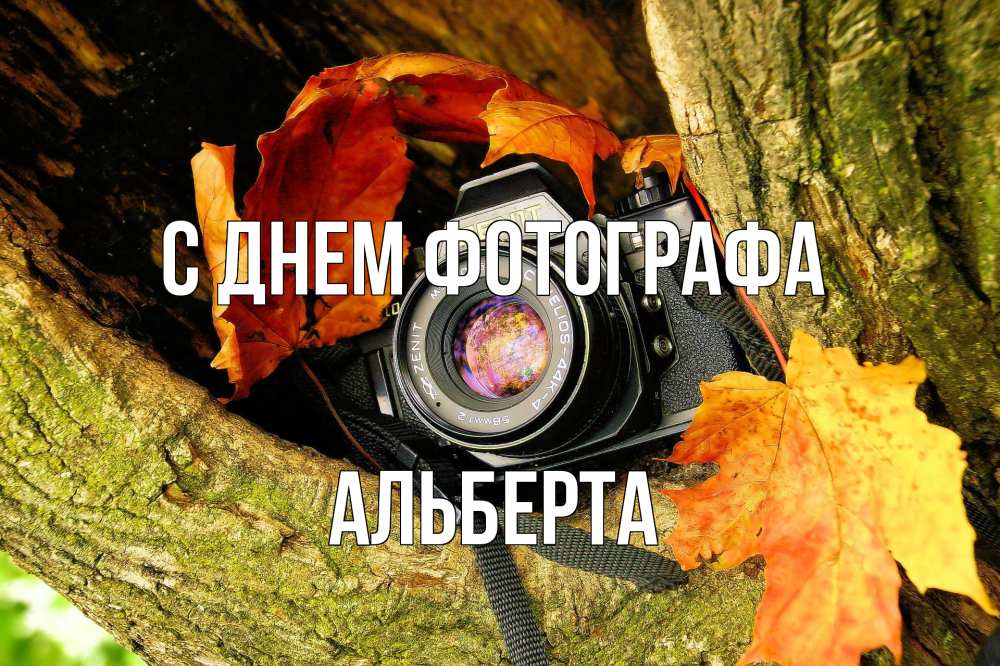 Открытка на каждый день с именем, Альберта С днем фотографа с днем фотографа 1 Прикольная открытка с пожеланием онлайн скачать бесплатно 