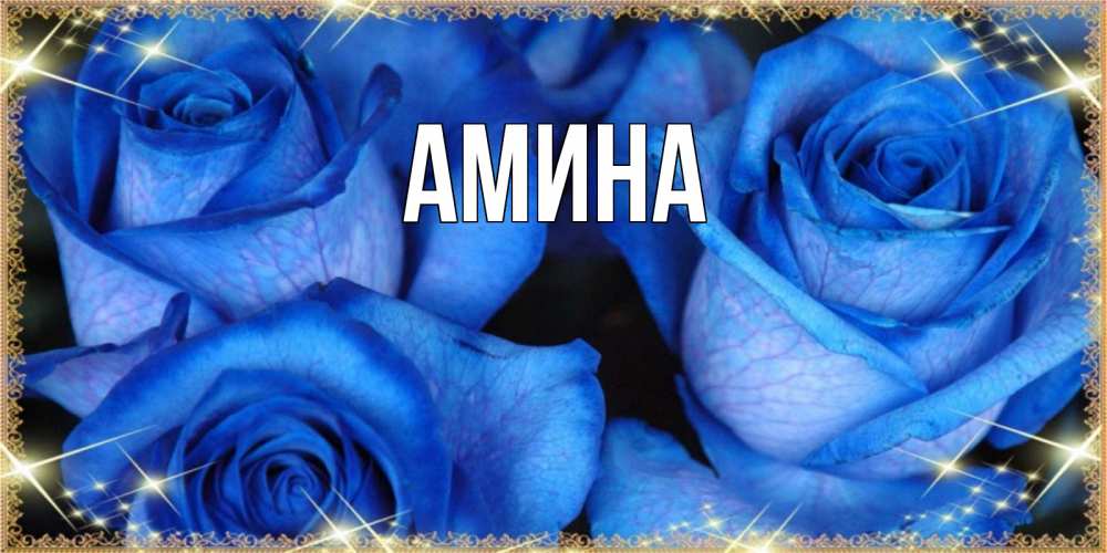 Открытка на каждый день с именем, Амина Главная красивые розы для милых дам на международный женский день Прикольная открытка с пожеланием онлайн скачать бесплатно 