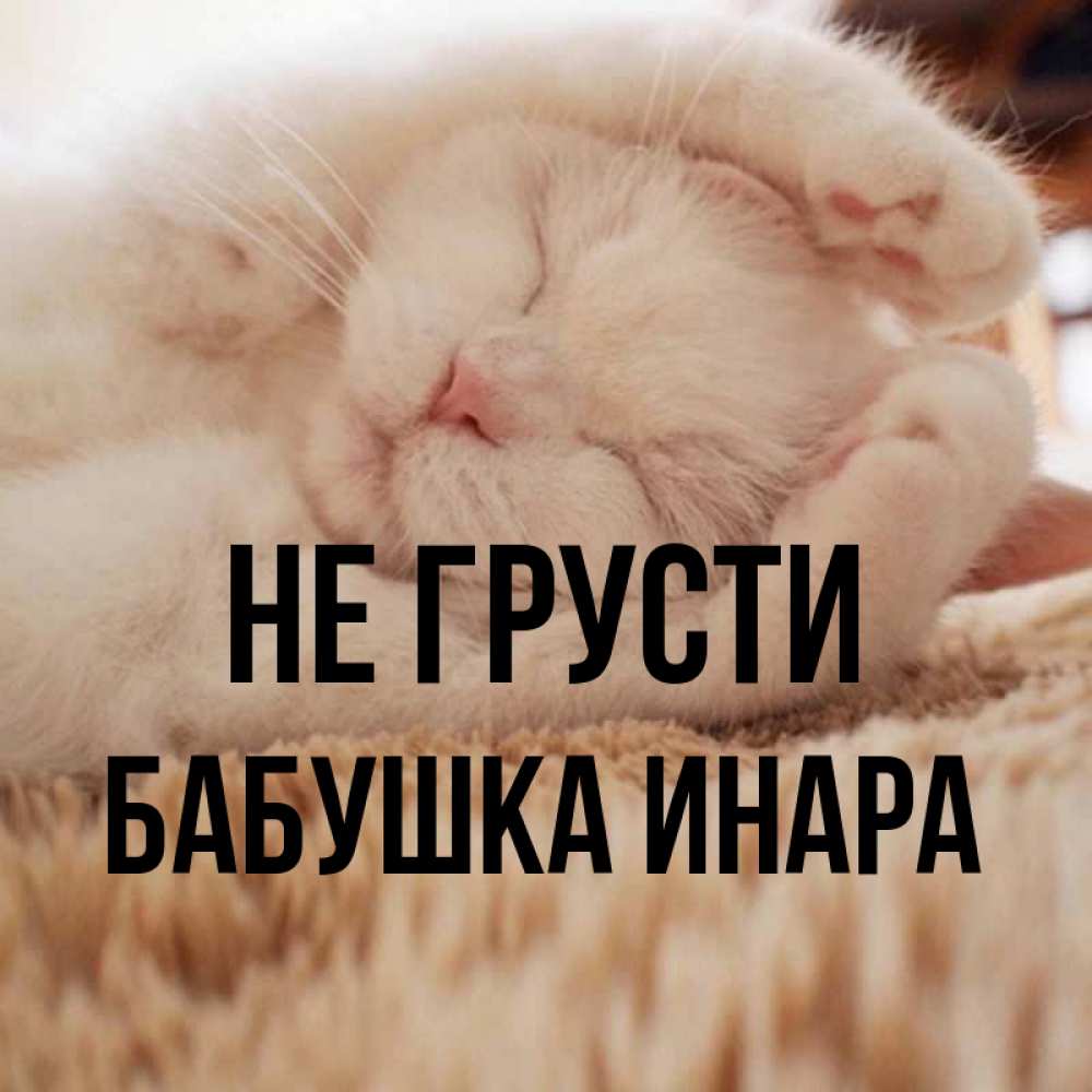 Открытка на каждый день с именем, Бабушка-Инара Не грусти Котенок спит Прикольная открытка с пожеланием онлайн скачать бесплатно 