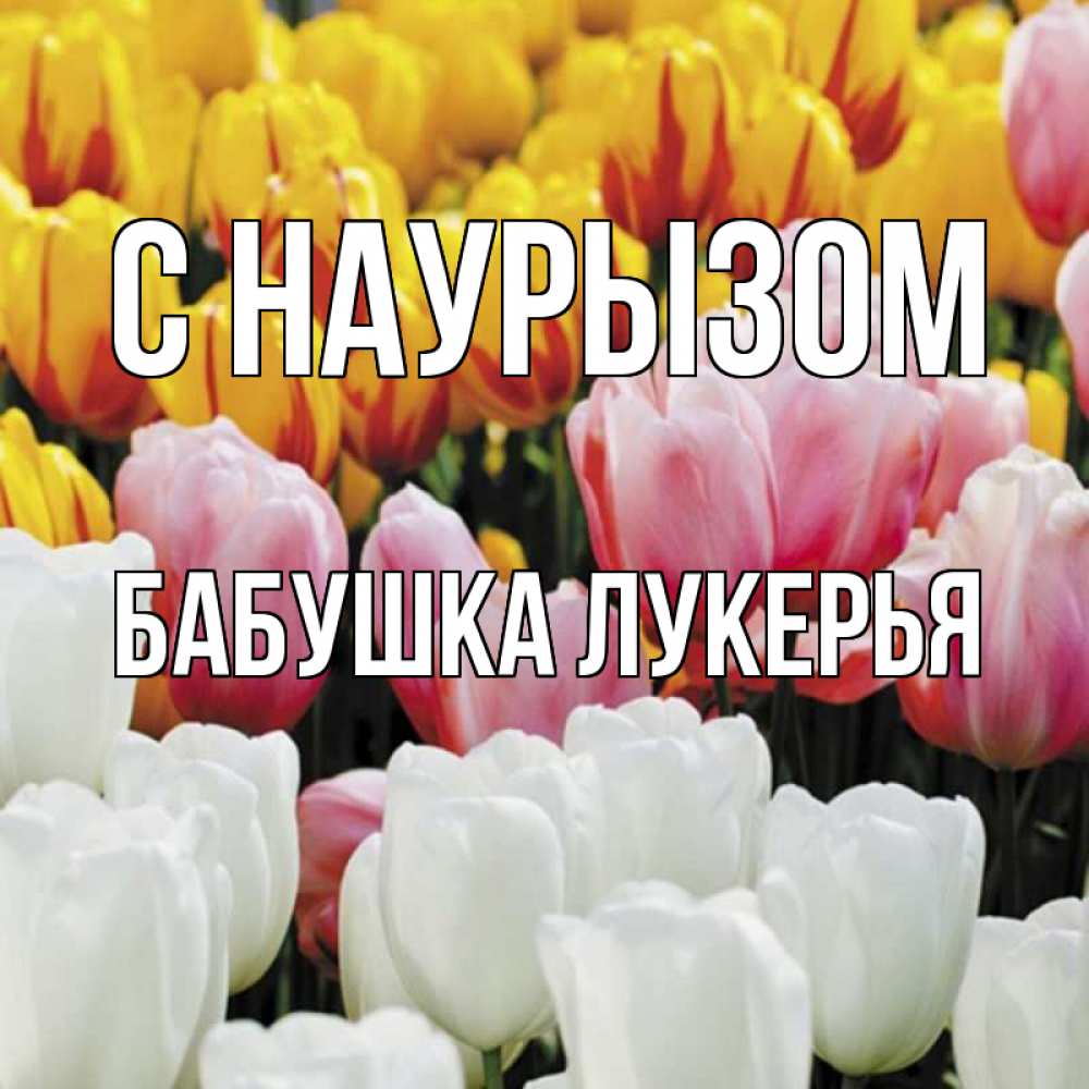 Открытка на каждый день с именем, Бабушка-Лукерья С наурызом разноцветные цветы Прикольная открытка с пожеланием онлайн скачать бесплатно 