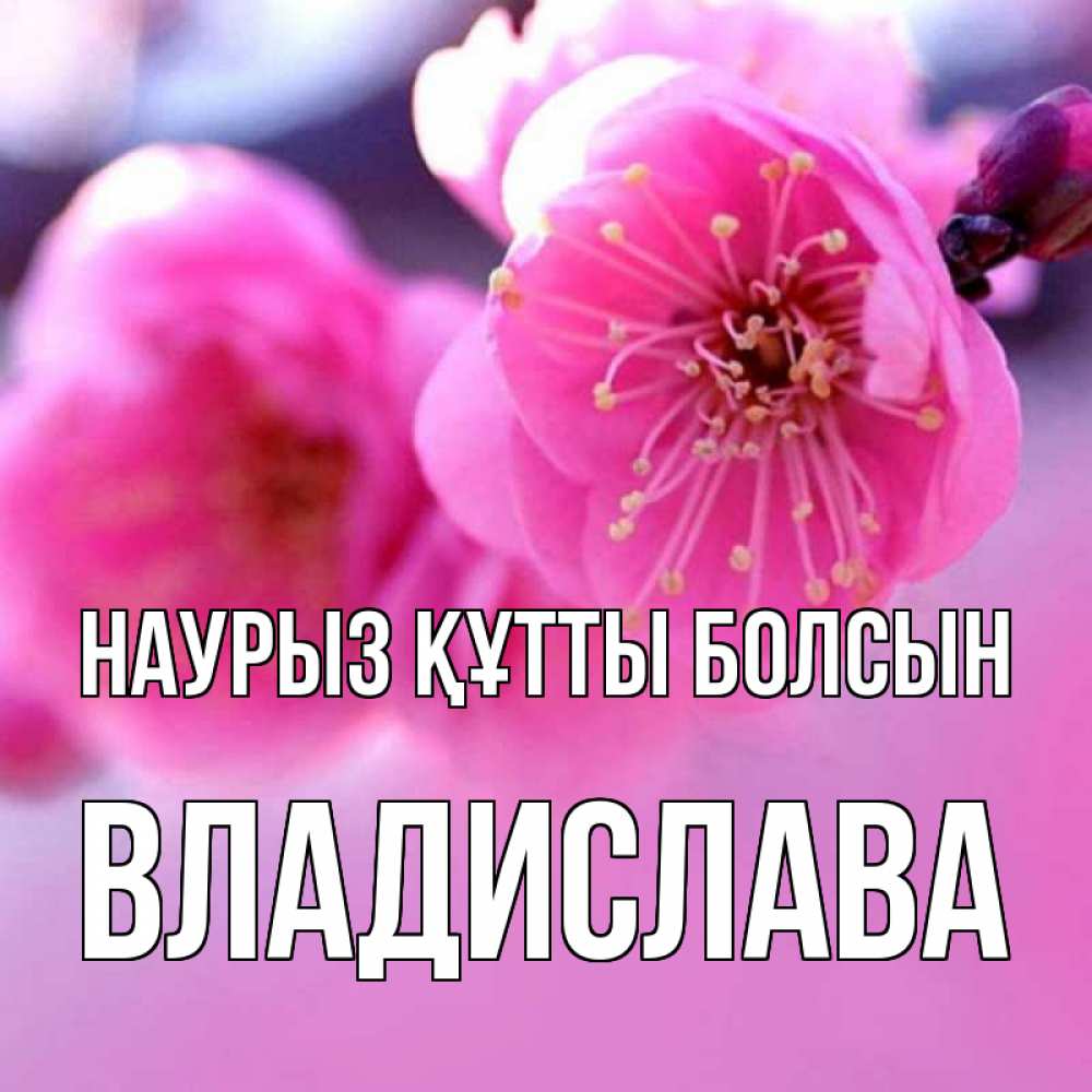 Открытка на каждый день с именем, Владислава Наурыз құтты болсын наурыз мейрам Прикольная открытка с пожеланием онлайн скачать бесплатно 