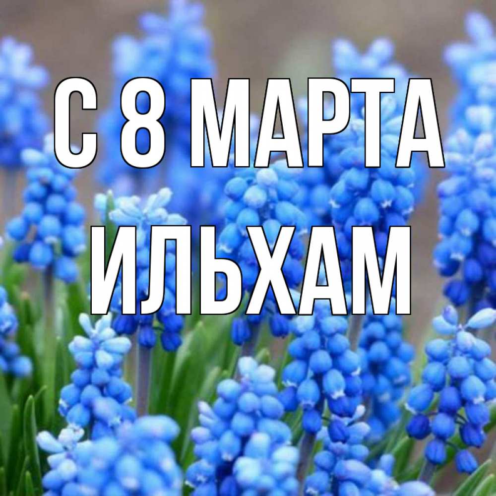 Открытка на каждый день с именем, Ильхам С 8 МАРТА Поздравительная открытка для женщин с цветами на праздничную дату Прикольная открытка с пожеланием онлайн скачать бесплатно 