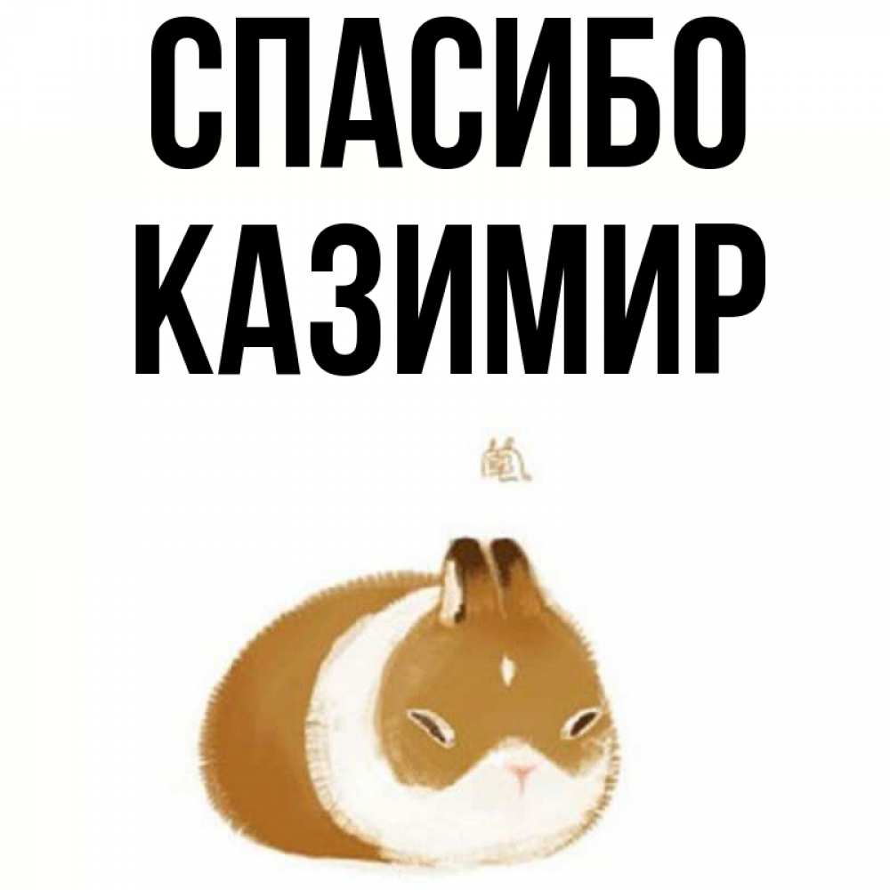 Открытка на каждый день с именем, Казимир Спасибо коричнево белый домашний питомец Прикольная открытка с пожеланием онлайн скачать бесплатно 